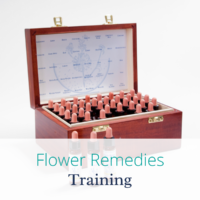 Flower Remedies Training